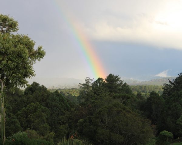 Meru Forest Rainbow
