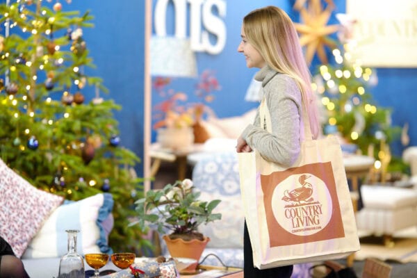 GHxCL_Live(Nov24)_1498_PROOF