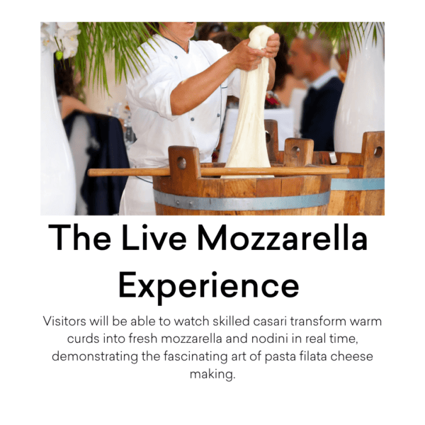 The Live Mozzarella Experience